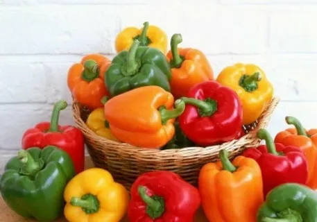 تصویر 3 از فلفل دلمه رنگی قرمز و سبز ترکیب تازه سالادی